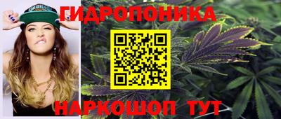 a pvp Будённовск