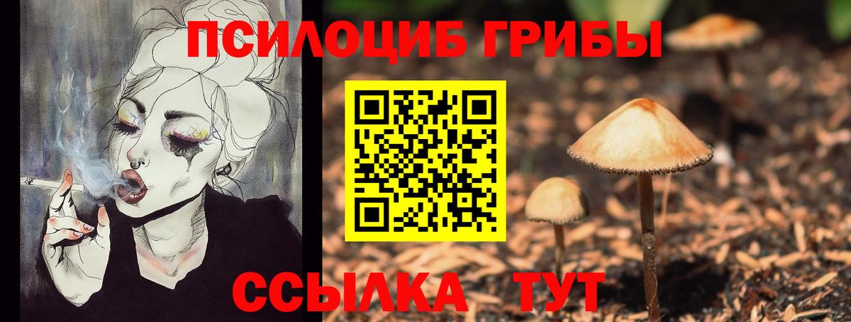 Саранск  Галлюциногенные грибы MAGIC MUSHROOMS  Вход с VPN  Псилоцибиновые грибы Magic Shrooms 