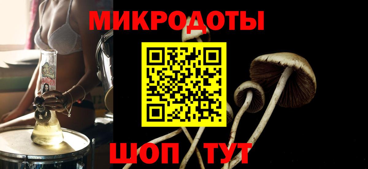 Галлюциногенные грибы мухоморы Саранск